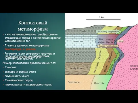 - это метаморфические преобразования вмещающих пород в контактовых ореолах магматических