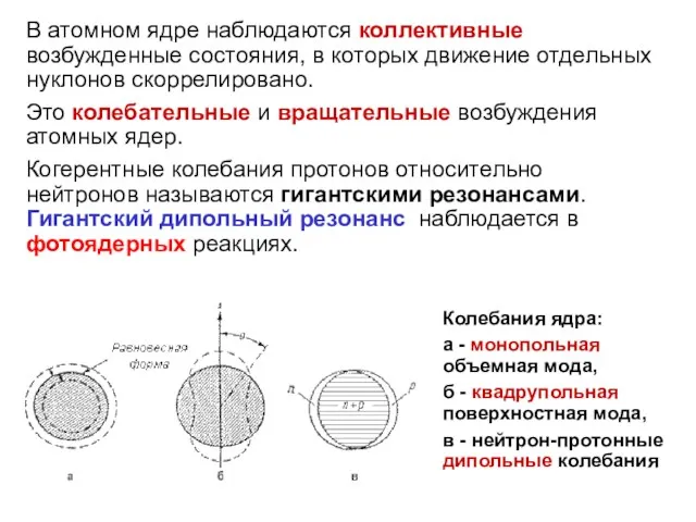 В атомном ядре наблюдаются коллективные возбужденные состояния, в которых движение