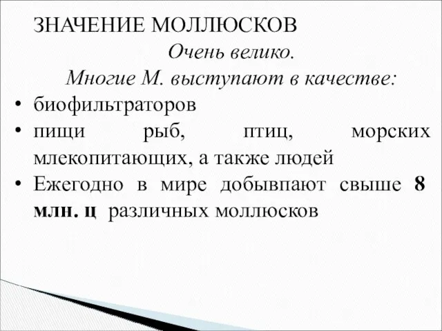 ЗНАЧЕНИЕ МОЛЛЮСКОВ Очень велико. Многие М. выступают в качестве: биофильтраторов