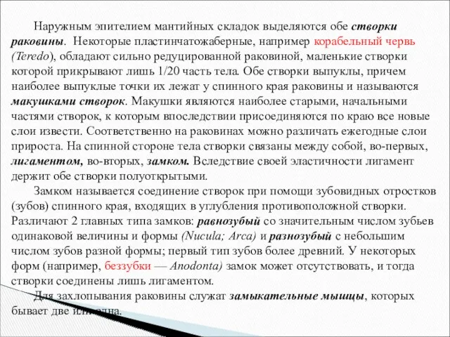 Наружным эпителием мантийных складок выделяются обе створки раковины. Некоторые пластинчатожаберные,