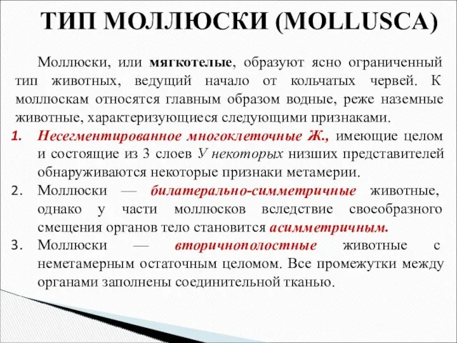 ТИП МОЛЛЮСКИ (MOLLUSCA) Моллюски, или мягкотелые, образуют ясно ограниченный тип