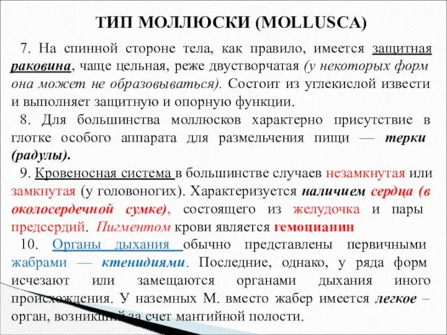 7. На спинной стороне тела, как правило, имеется защитная раковина,