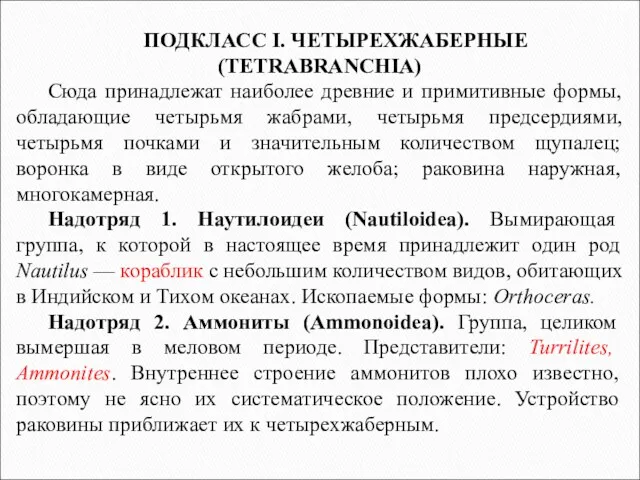 ПОДКЛАСС I. ЧЕТЫРЕХЖАБЕРНЫЕ (TETRABRANCHIA) Сюда принадлежат наиболее древние и примитивные