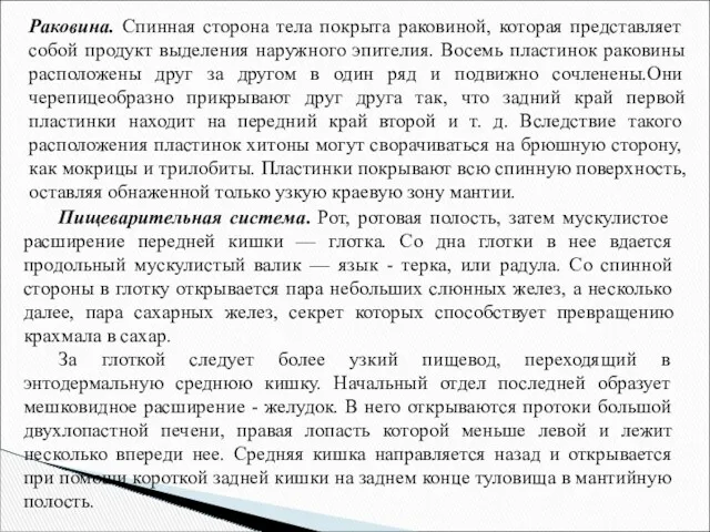 Раковина. Спинная сторона тела покрыта раковиной, которая представляет собой продукт