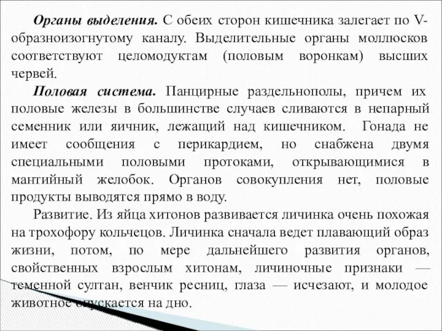 Органы выделения. С обеих сторон кишечника залегает по V-образноизогнутому каналу.