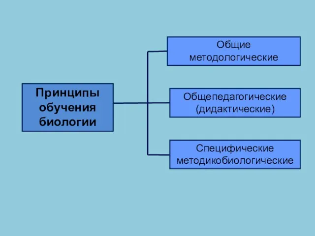 Принципы обучения биологии Общие методологические Общепедагогические (дидактические) Специфические методикобиологические