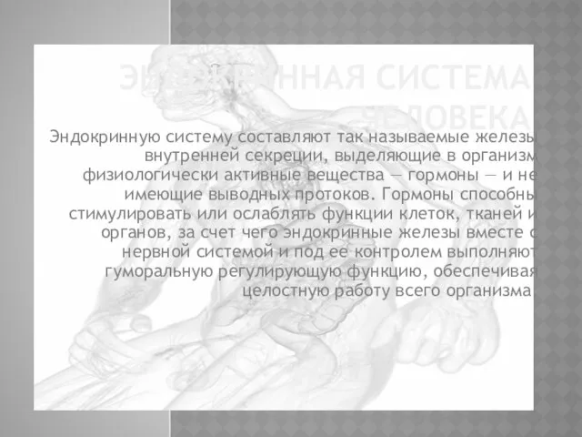 ЭНДОКРИННАЯ СИСТЕМА ЧЕЛОВЕКА Эндокринную систему составляют так называемые железы внутренней