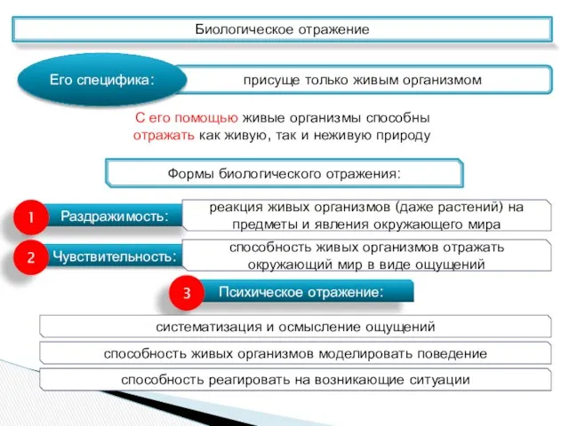 Раздражимость: реакция живых организмов (даже растений) на предметы и явления