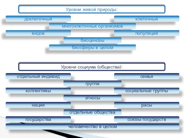 Уровни живой природы: доклеточный клеточный многоклеточных организмов видов популяций биоценозы