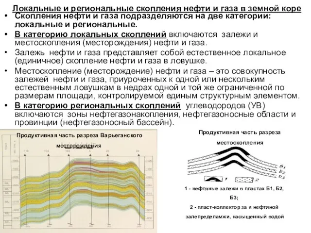 Локальные и региональные скопления нефти и газа в земной коре