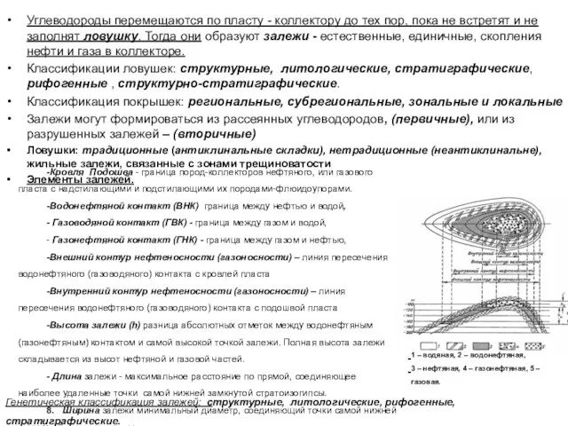 Углеводороды перемещаются по пласту - коллектору до тех пор, пока