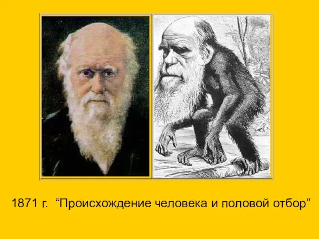 1871 г. “Происхождение человека и половой отбор”