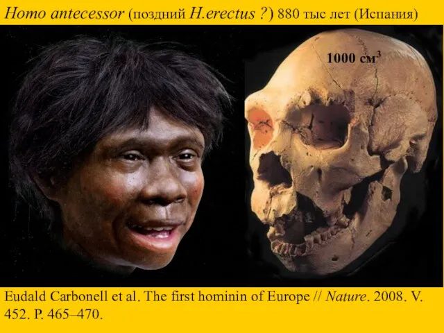 Homo antecessor (поздний H.erectus ?) 880 тыс лет (Испания) Eudald