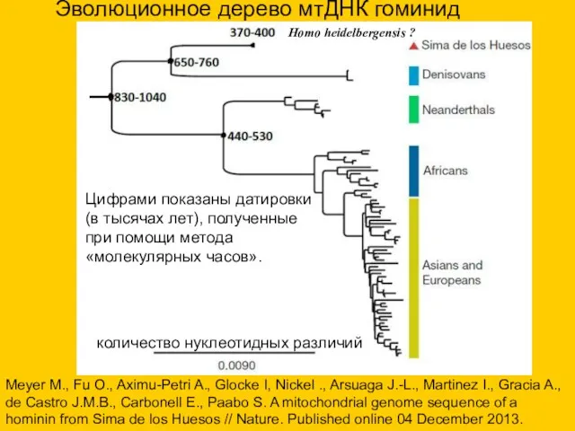 Цифрами показаны датировки (в тысячах лет), полученные при помощи метода