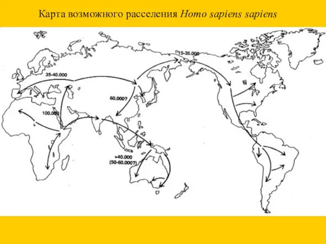 Карта возможного расселения Homo sapiens sapiens