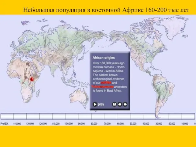 Небольшая популяция в восточной Африке 160-200 тыс лет mtDNA Ychromosome