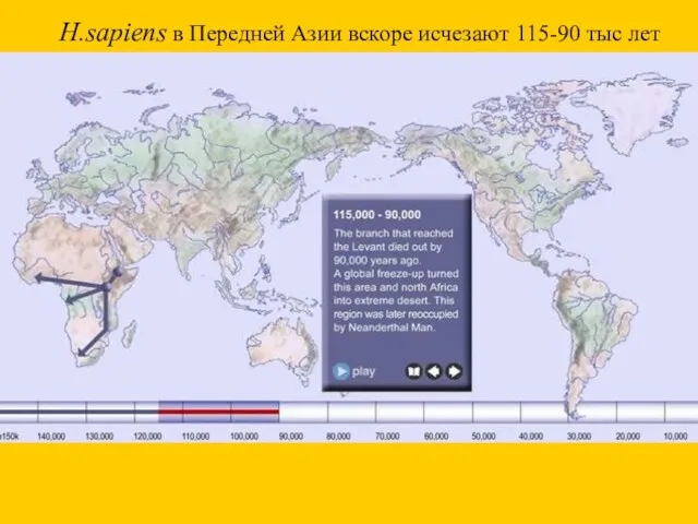 H.sapiens в Передней Азии вскоре исчезают 115-90 тыс лет