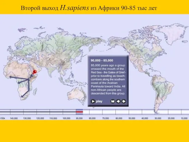 Второй выход H.sapiens из Африки 90-85 тыс лет