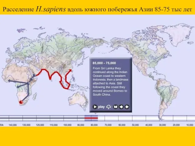 Расселение H.sapiens вдоль южного побережья Азии 85-75 тыс лет