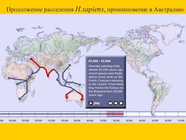 Продолжение расселения H.sapiens, проникновение в Австралию