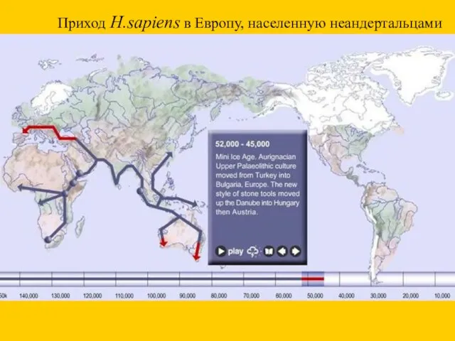 Приход H.sapiens в Европу, населенную неандертальцами