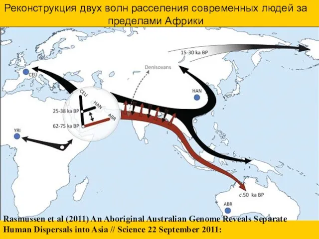 Rasmussen et al (2011) An Aboriginal Australian Genome Reveals Separate