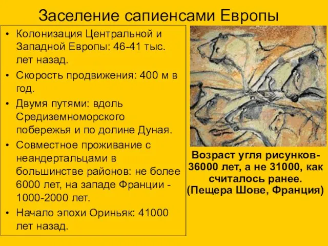 Заселение сапиенсами Европы Колонизация Центральной и Западной Европы: 46-41 тыс.