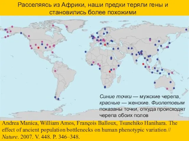 Расселяясь из Африки, наши предки теряли гены и становились более