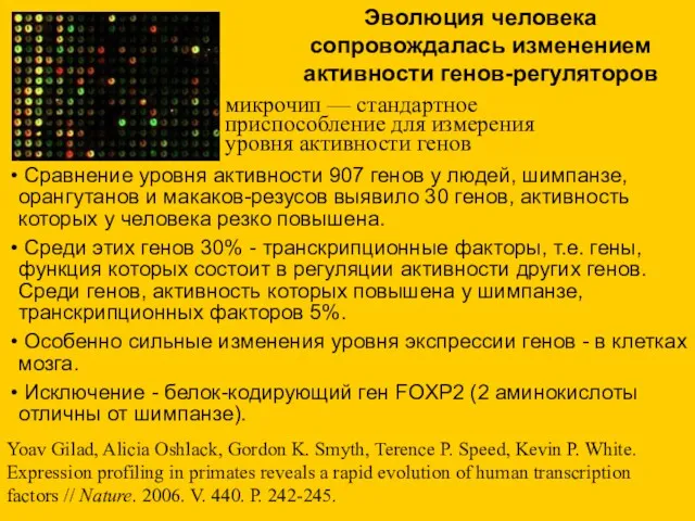 Сравнение уровня активности 907 генов у людей, шимпанзе, орангутанов и