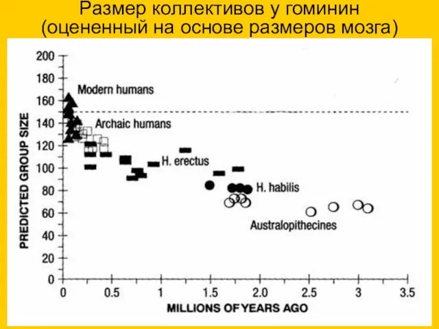 Размер коллективов у гоминин (оцененный на основе размеров мозга)