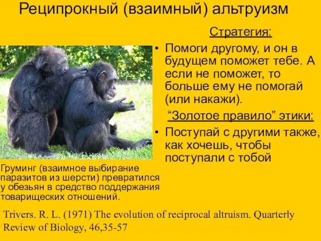 Реципрокный (взаимный) альтруизм Стратегия: Помоги другому, и он в будущем