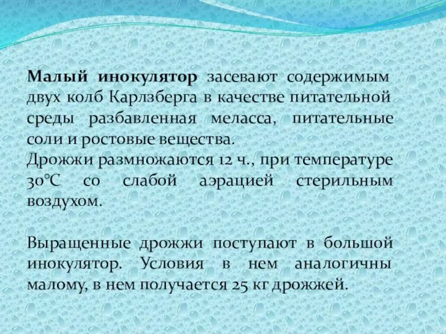 Малый инокулятор засевают содержимым двух колб Карлзберга в качестве питательной