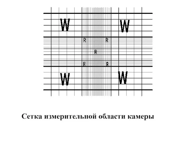 Сетка измерительной области камеры