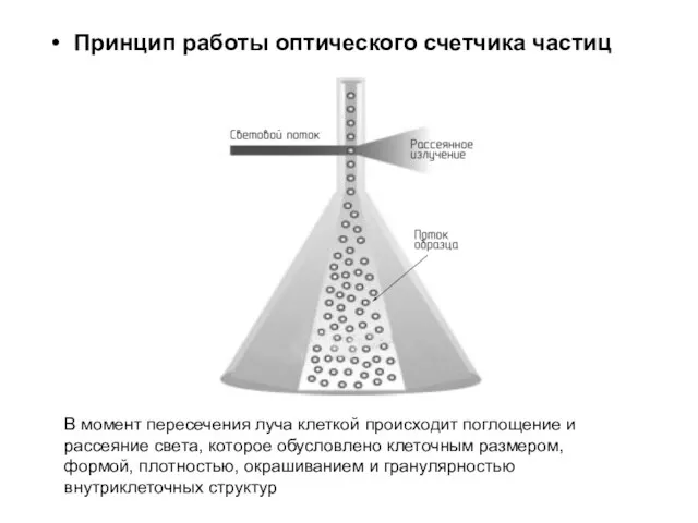 Принцип работы оптического счетчика частиц В момент пересечения луча клеткой