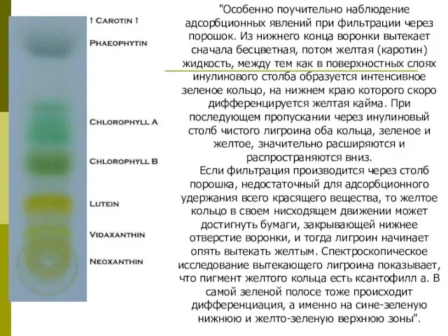 "Особенно поучительно наблюдение адсорбционных явлений при фильтрации через порошок. Из