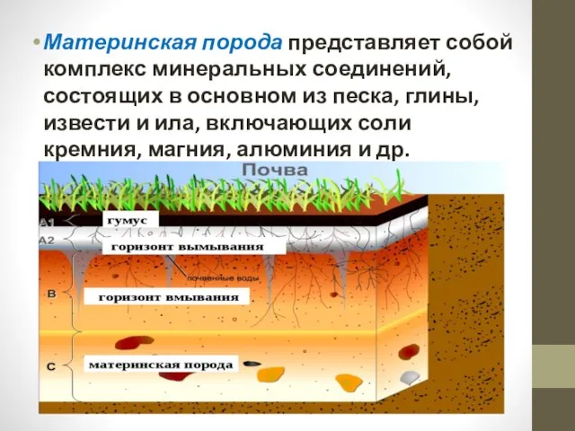 Материнская порода представляет собой комплекс минеральных соединений, состоящих в основном