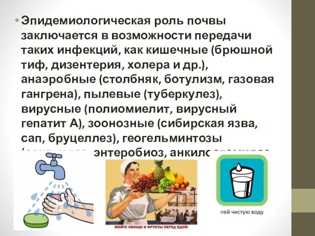 Эпидемиологическая роль почвы заключается в возможности передачи таких инфекций, как