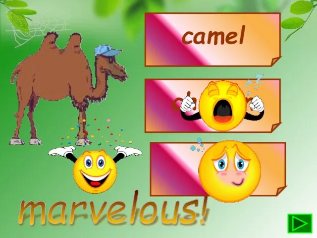 marvelous! camel chicken cow