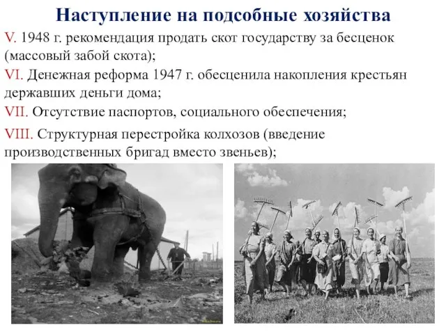 Наступление на подсобные хозяйства V. 1948 г. рекомендация продать скот государству за бесценок
