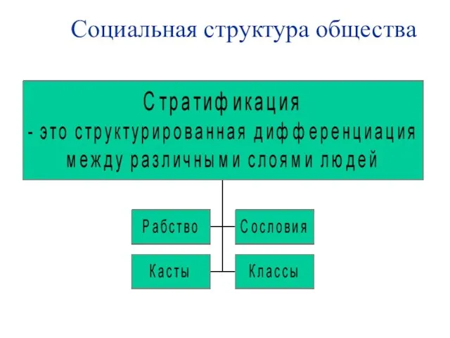 Социальная структура общества