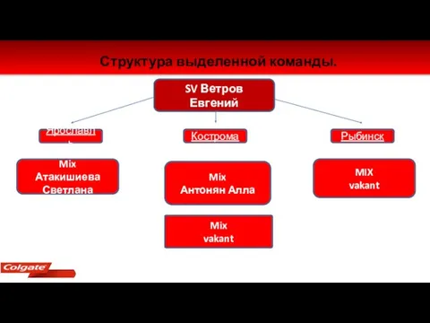 Структура выделенной команды. SV Ветров Евгений Mix Атакишиева Светлана Mix