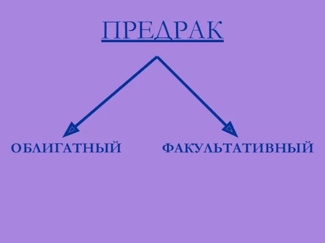 ПРЕДРАК ОБЛИГАТНЫЙ ФАКУЛЬТАТИВНЫЙ