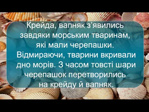 Крейда, вапняк з’явились завдяки морським тваринам, які мали черепашки. Відмираючи, тварини вкривали дно