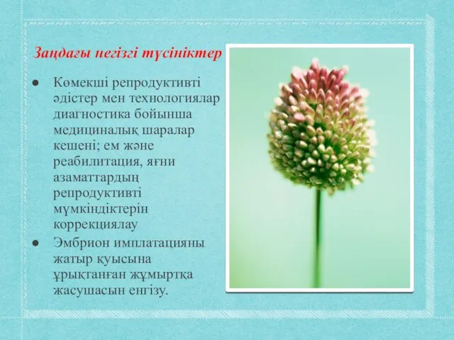 Заңдағы негізгі түсініктер Көмекші репродуктивті әдістер мен технологиялар диагностика бойынша