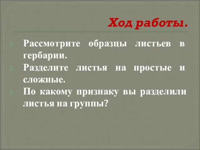 Ход работы. Рассмотрите образцы листьев в гербарии. Разделите листья на