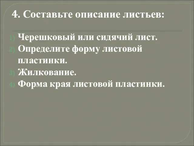 4. Составьте описание листьев: Черешковый или сидячий лист. Определите форму