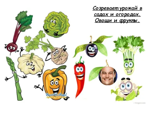 Созревает урожай в садах и огородах. Овощи и фрукты.