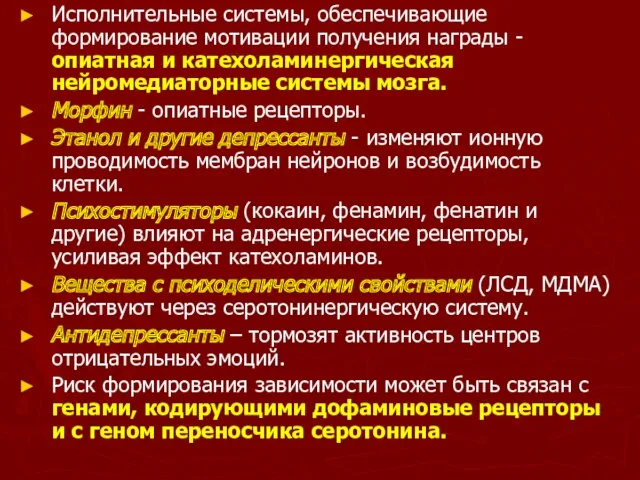 Исполнительные системы, обеспечивающие формирование мотивации получения награды - опиатная и