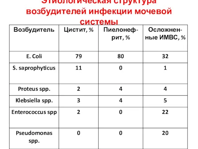 Этиологическая структура возбудителей инфекции мочевой системы