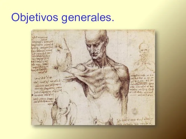 Objetivos generales.